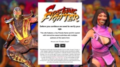 costume fighter
